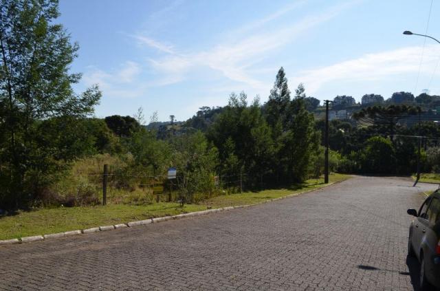 Terreno à venda, 728 m² por R$ 355.000,00 - Prinstrop - Gramado/RS - Foto 3