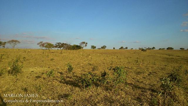 Fazenda Para Gado Ipameri-Go! - Foto 2