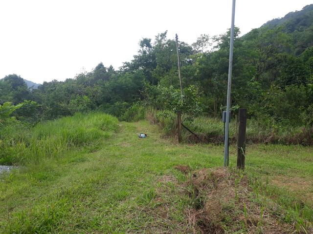 Vende se lote paraty * so nesse numero - Foto 11
