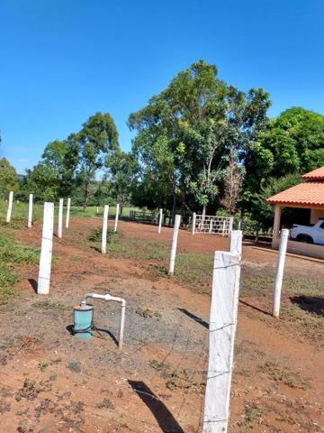 Fazenda, terra boa e pronta! - Foto 3