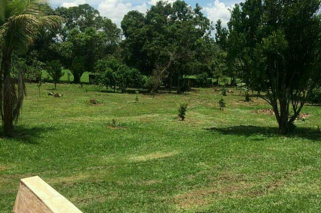 Fazenda Sonho Verde - Foto 5