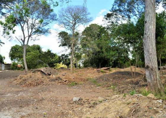 Terreno à venda em Novo, Carpina cod:TE09W - Foto 10