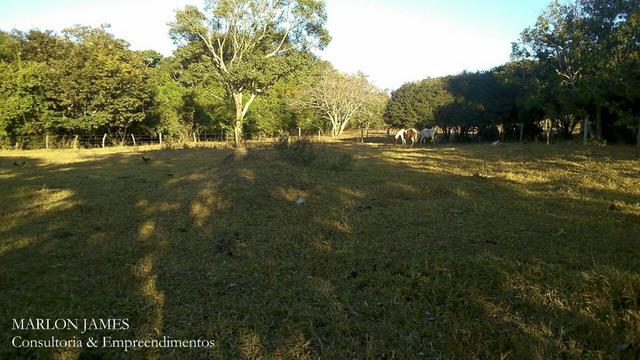 Fazenda Para Gado Ipameri-Go! - Foto 5