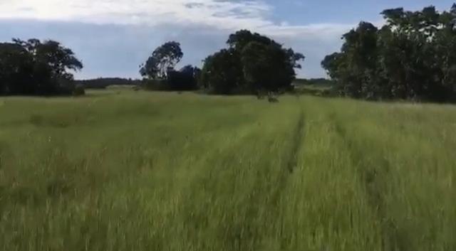 Fazenda em Santo Antônio do Leverger 9.880 hectares