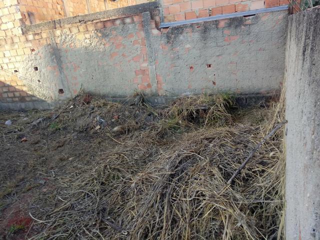Lote arvoredo 2 - Foto 2