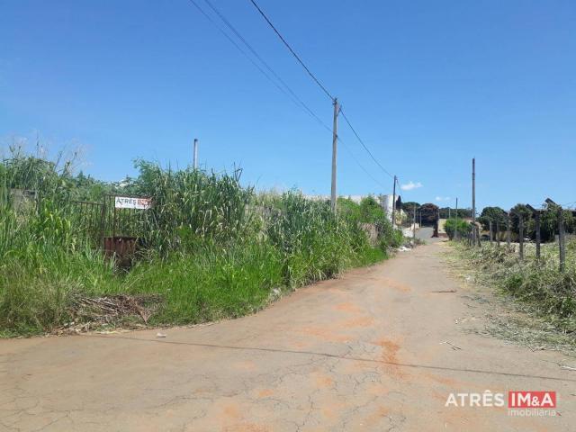Terreno para alugar, 2505 m² por r$ 4.500,00/mês - santa genoveva - goiânia/go - Foto 3