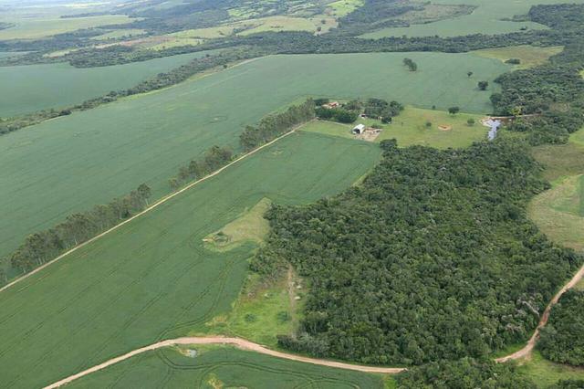 Fazenda Sonho Verde - Foto 8