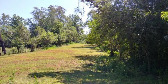Terreno Exclusivo no Berto Círio, Nova Santa Rita - Foto 2