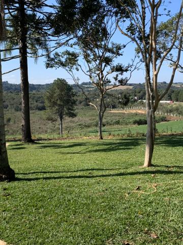 Troco ou vendo chácara em Quitandinha por imóvel em Curitiba ou Balneário Camboriú - Foto 6