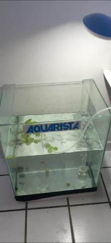Aquario