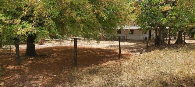 Fazenda - Foto 2
