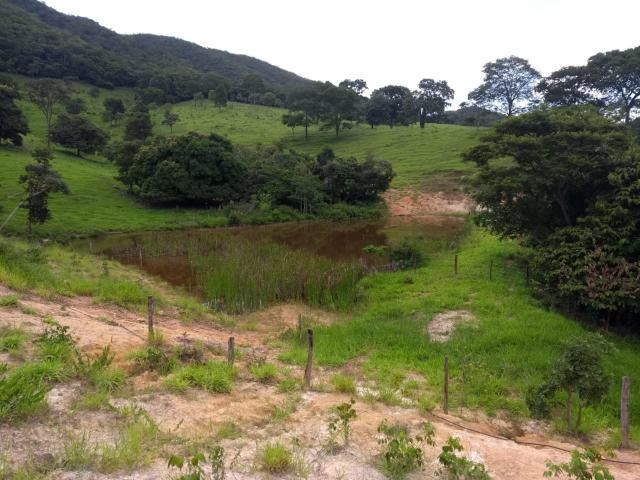 Fazenda taquaral 990.000.00 - Foto 2