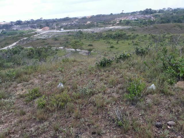 Terrenos - Foto 2