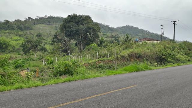 Fazenda com excelente localização - Foto 10