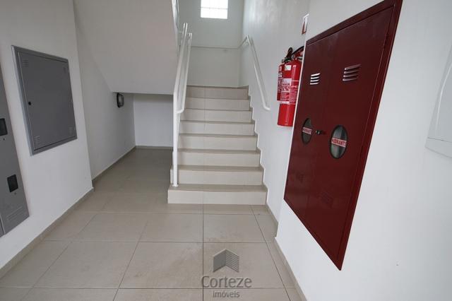 Apartamento 2 quartos 2 vagas bairro Afonso Pena - Foto 5