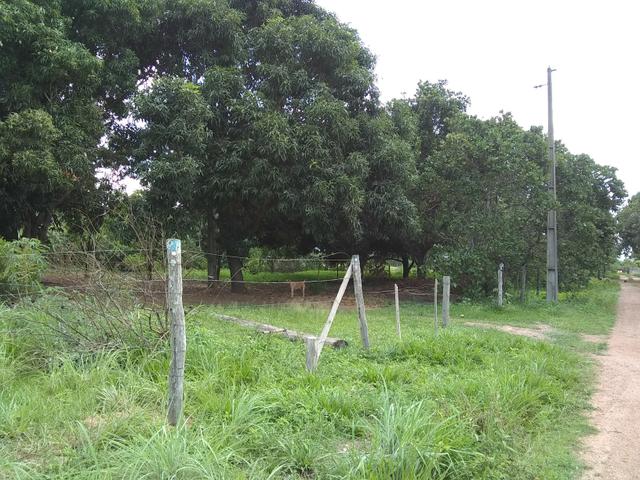 Chacara - Foto 7