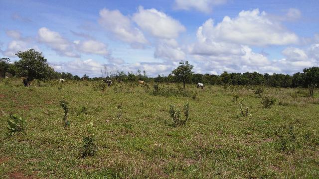 Bela Chacrinha 02ha - Lindo Lugar - Foto 4