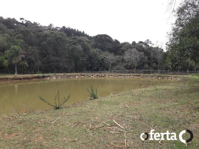 Chácara em Contenda com 30.170 metros quadrados - Foto 13