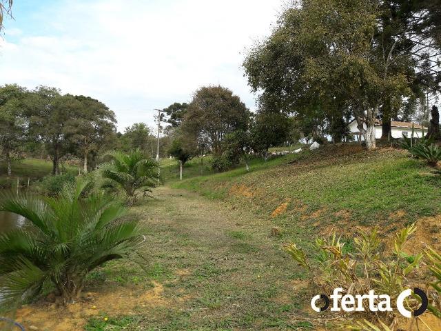 Chácara em Contenda com 30.170 metros quadrados - Foto 14