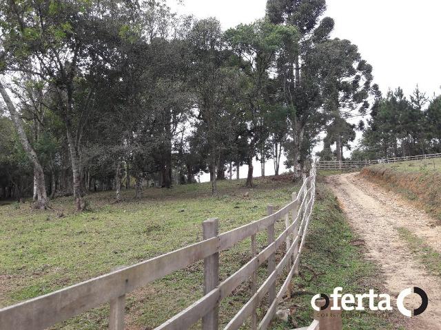 Chácara em Contenda com 30.170 metros quadrados - Foto 11