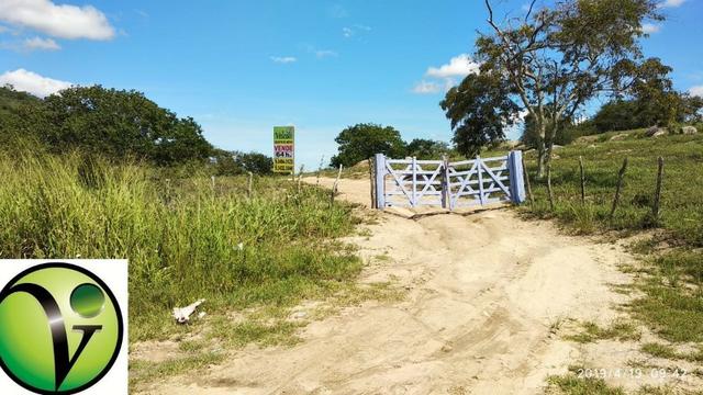 Areá com 65 Hectares nas Margens da Pista de Mandacaru em Gravatá-PE - Foto 4