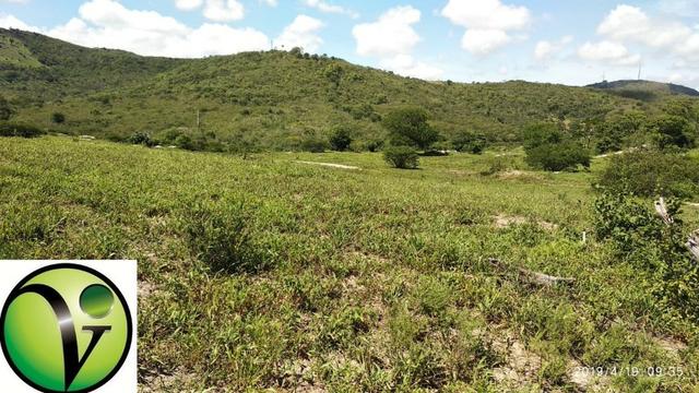 Areá com 65 Hectares nas Margens da Pista de Mandacaru em Gravatá-PE - Foto 11