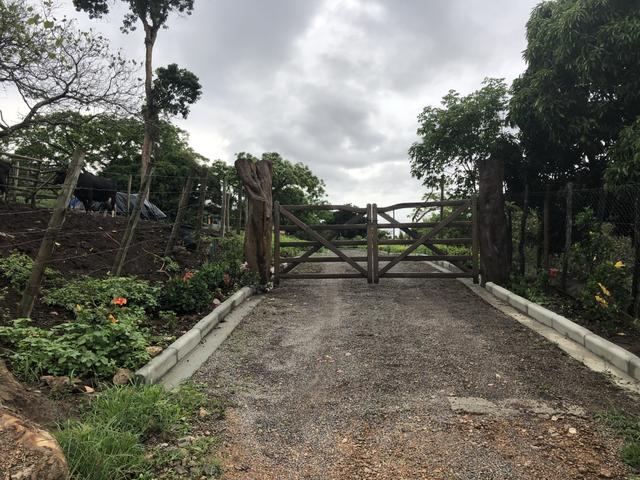 Sítio em mandacaru - gravatá - Foto 4