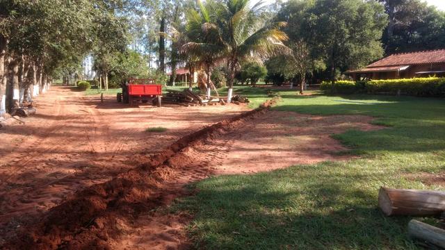 Arrendo Sitio 25 Hectares no Noroeste Pr - Foto 3