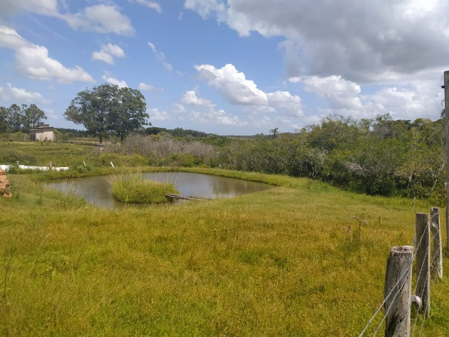 Velleda oferece sitio 3 hectares com casa e 2 açudes - Foto 6