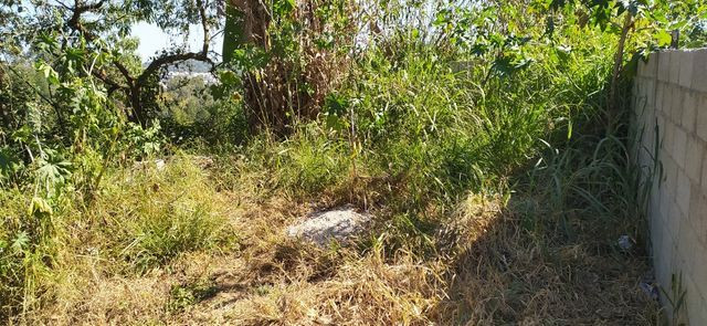 Terreno 125 m2 em s. pedro- sant. paraíba- facilitado- entrada e mais parcelas - Foto 6