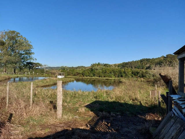 Velleda oferece 4 hectares c/ campo ideal para cavalos ou ovelhas, luz CEEE - Foto 6