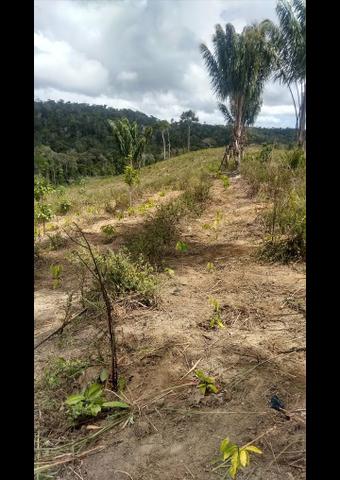 V/t terreno na Bahia - Foto 2