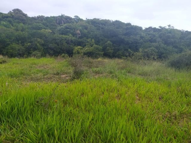 Velleda oferece lindo sítio de 1 hectare, local seguro, ac 100% em carros