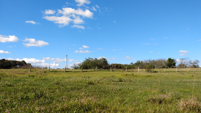 SSV Imóveis Apresenta, 2.550 m2, 1 km da RS 040, veja - Foto 4