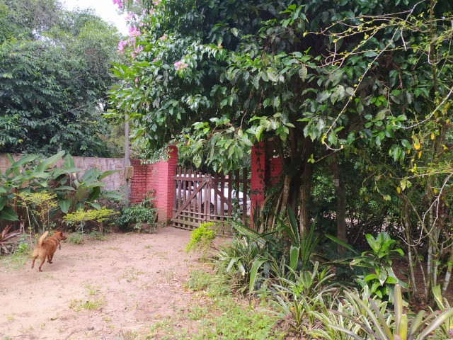 Velleda oferece sitio em condominio, próximo de mercado e parada de ônibus - Foto 15