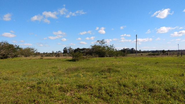 SSV Imóveis Apresenta, 2.550 m2, 1 km da RS 040, veja - Foto 3