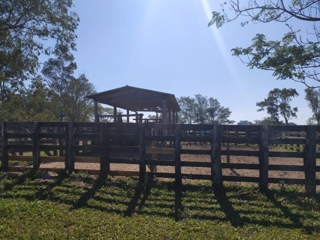 Velleda oferece linda fazenda 70 hectares 10 km da RS-040, aproveita 100% - Foto 4