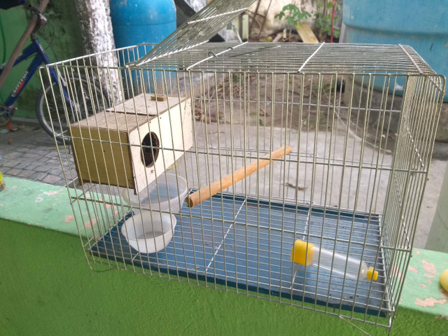 Gaiola