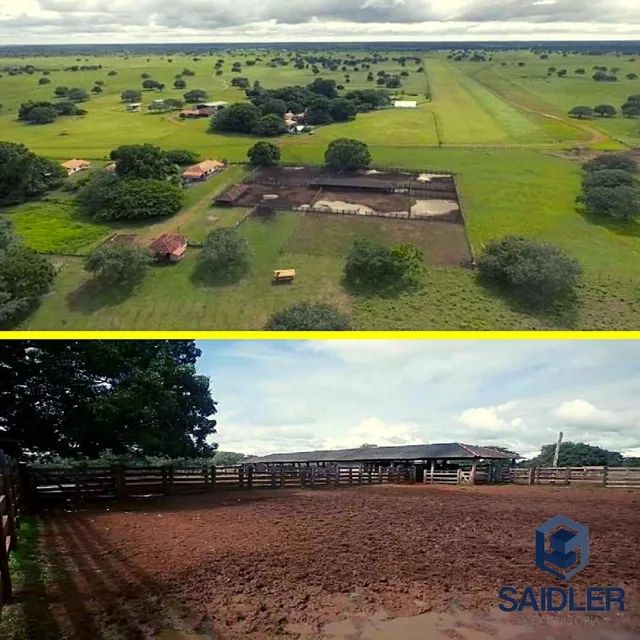 Fazenda no vale do Araguaia com 40.600 hectares  - Foto 2