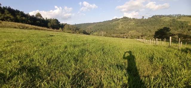 Chácara com 2 Hectares com arroio  - Foto 5