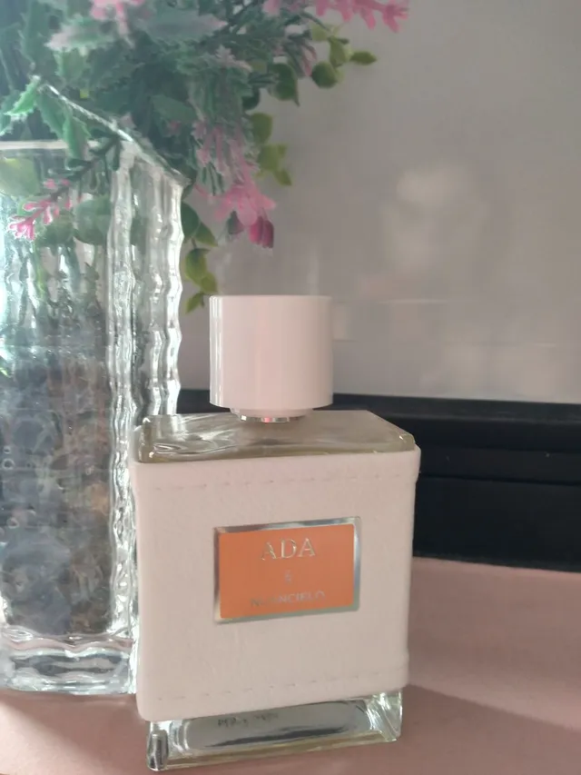 Perfume nuancielo | +32 anúncios na OLX Brasil