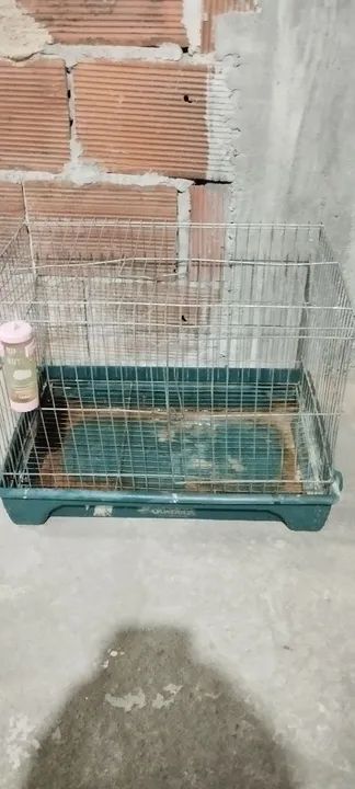 Gaiola para Roedores - Aceito ofertas - Foto 2