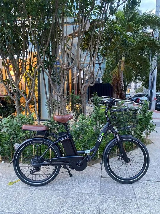Bike elétrica E-bike L ( Lev )  