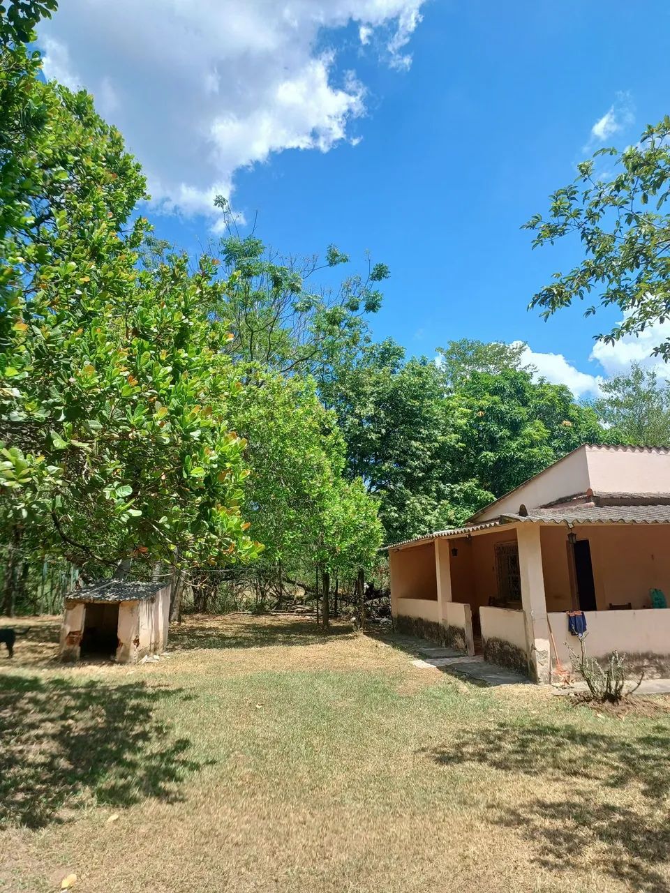 Venda de sítio  - Foto 4