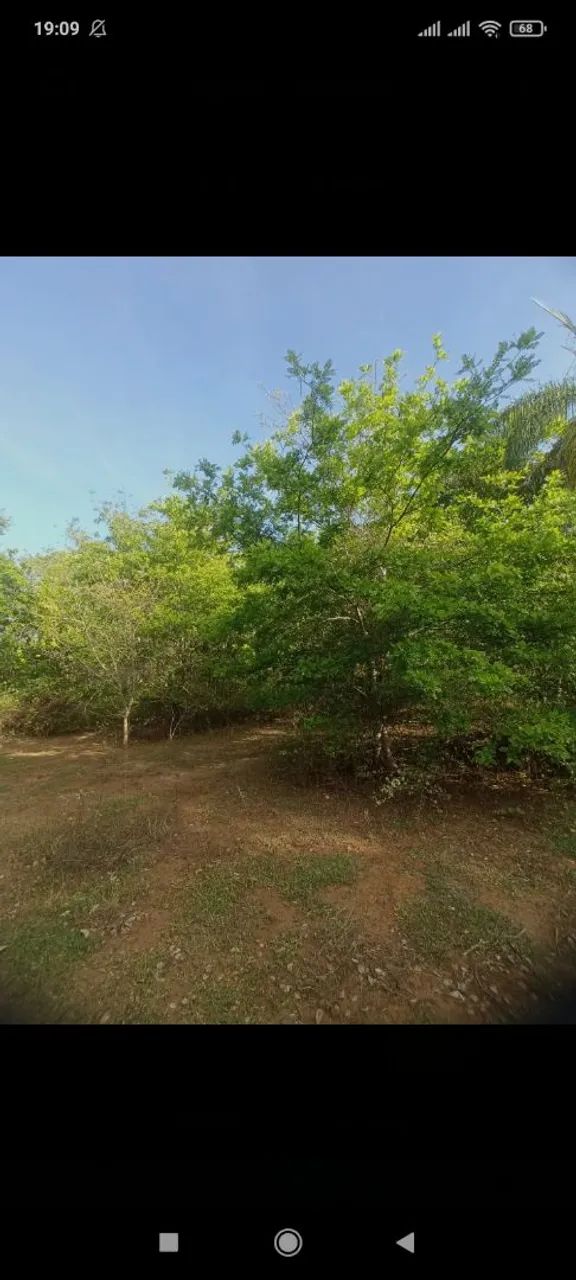 Chácaras apenas 14 km de montes Claros  - Foto 2