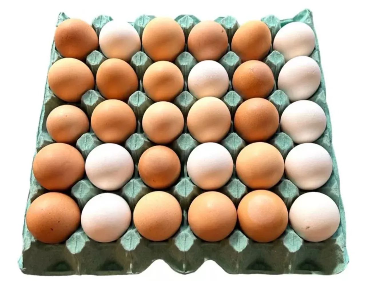 12 Ovos galados de galinha caipira - Foto 2