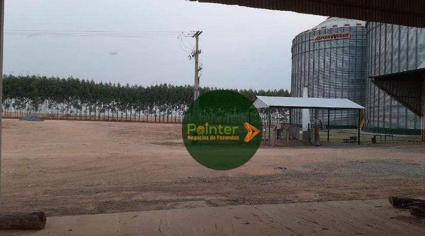 Fazenda à venda, 146670 m² por R$ 1.200.000.000,00 - Zona Rural - Nova Ubiratã/MT - Foto 2