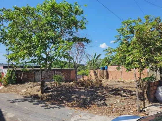VENDO Terreno com ÓTIMA LOCALIZAÇÃO no tamanho de 16x20=320m2 / Próximo do Nova Era do viv - Foto 4
