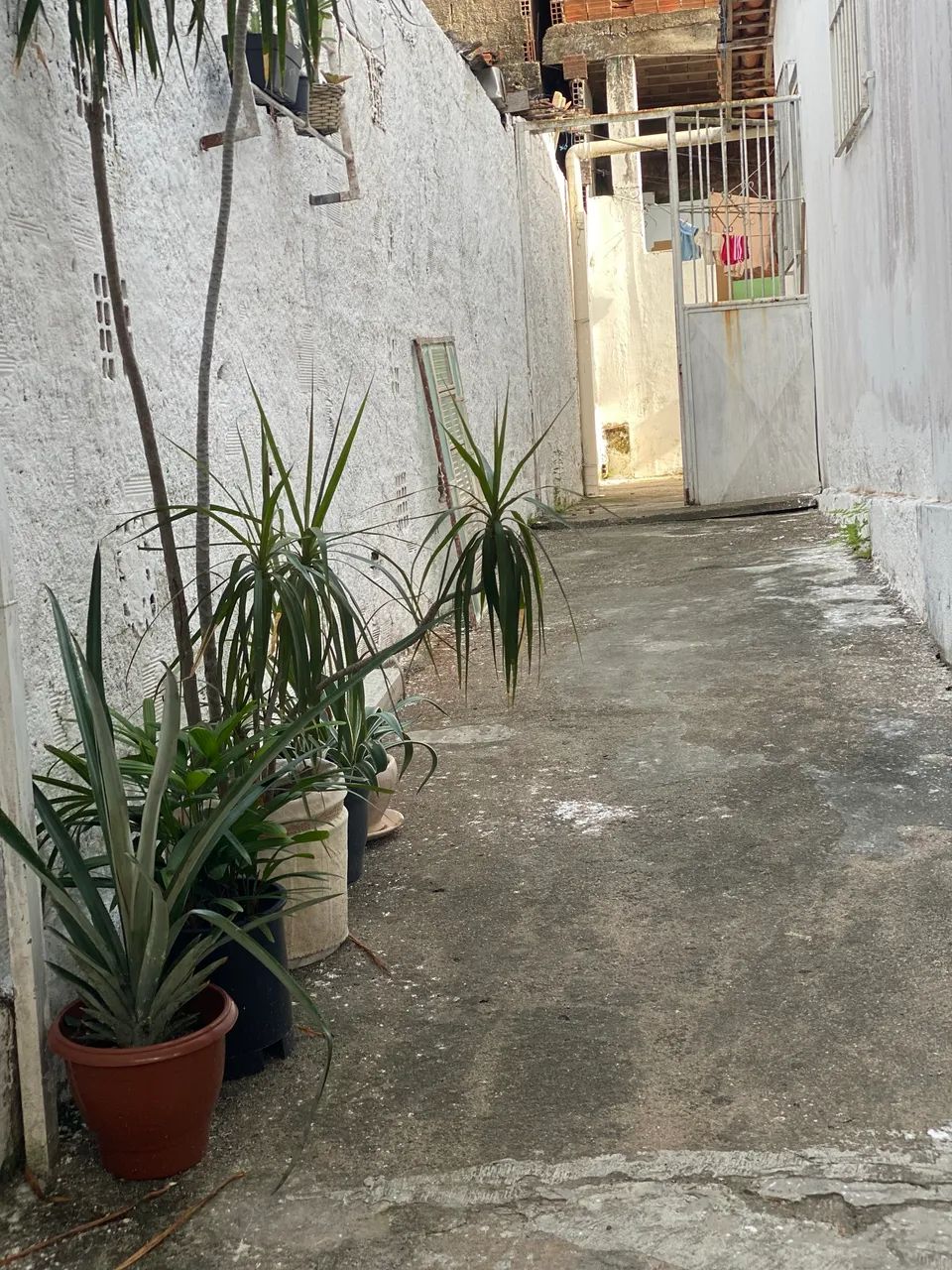 Casa a venda no curado 5 - Foto 4