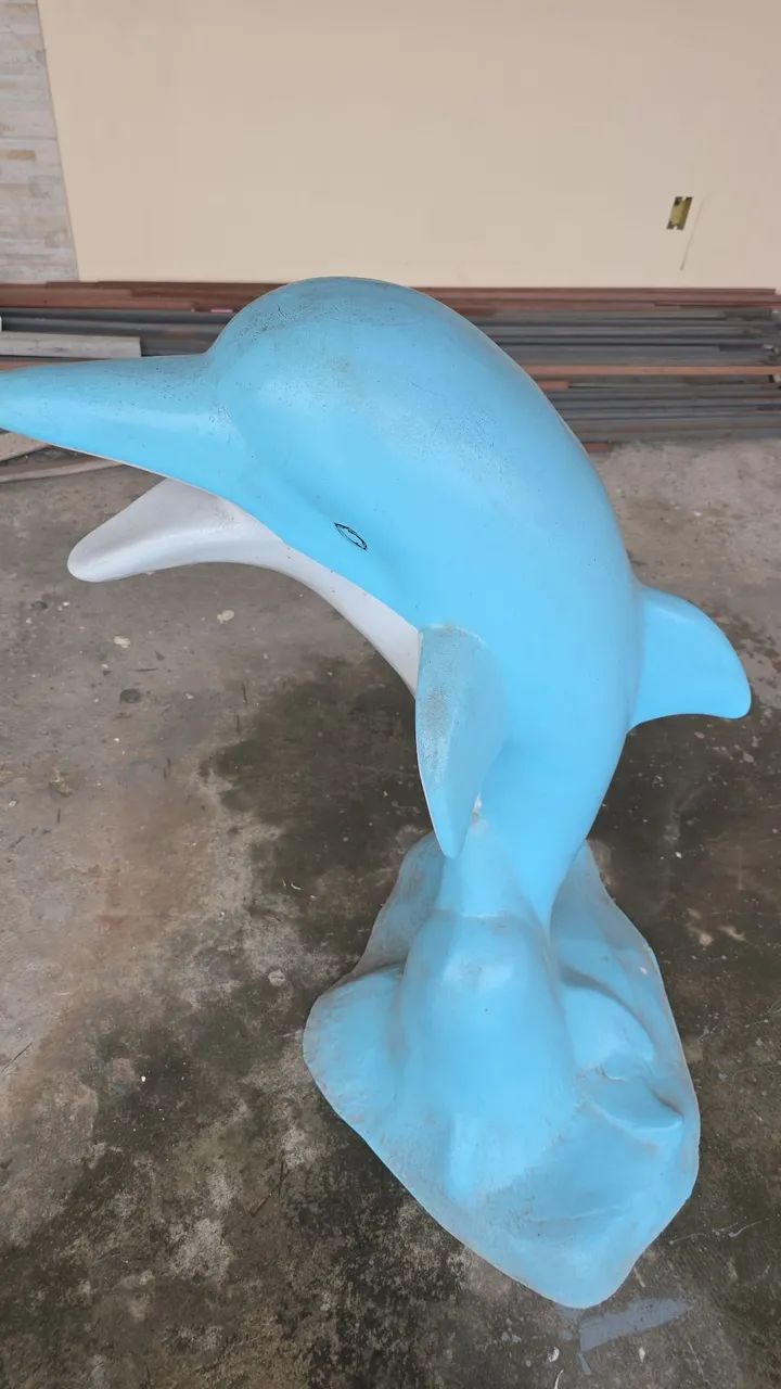 Boto piscina 